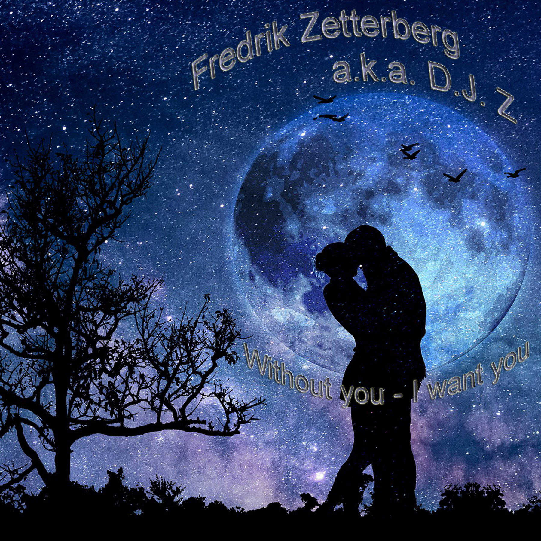 Fredrik Zetterberg a.k.a. D.J. Z - Without you-I want you